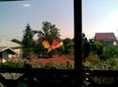 Imag039