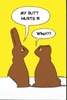 funny-rabbits