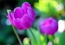 images (21)