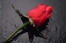 images (25)