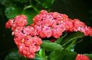 images (27)