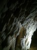 baloane 271
