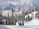 www.wallpapere.eu-Winter_Wonderland_British_Columb