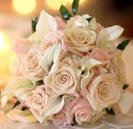 images (37)