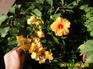 Picture 010
