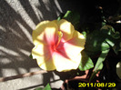Picture 003