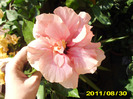 Picture 010