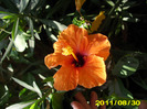 Picture 014