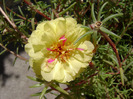 DSC07757