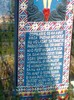 baloane 170