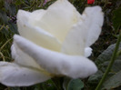 Fotografie0252
