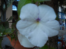 DSCN0974