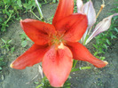 DSC06399