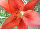 DSC06400