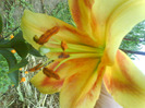 DSC06402