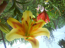 DSC06403