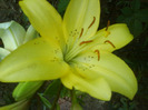 DSC06413