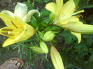 DSC06414