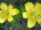 DSC06415