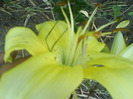 DSC06417