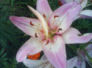 DSC06427