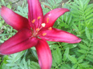 DSC06431