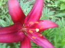 DSC06432