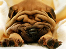 150x150-6-7-7-6772-Mr_-Wrinkles