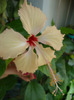 DSC03268