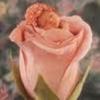 images (10)