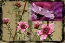 images (24)