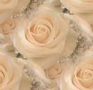 images (28)