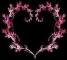 images (15)