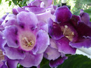 DSC03466