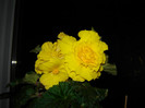 DSC03475