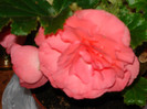 DSC03478