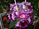 DSC03485