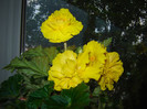 DSC03486