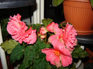 DSC03493