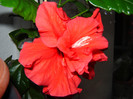 DSC03496