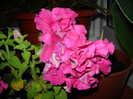 DSC03497