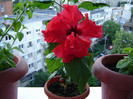 DSC03501