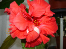 DSC03505