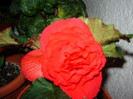 DSC03506