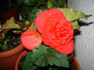 DSC03507