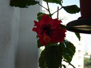 DSC03508