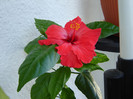 DSC03509