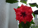 DSC03512