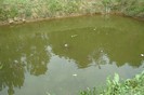 DSC03752