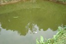 DSC03761
